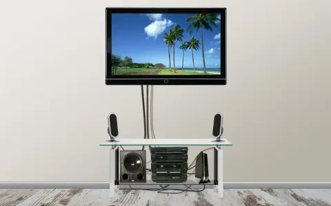 Nowoczesny telewizor w salonie, z widokiem na palmy. Inspiracje dla Twojego wnętrza.