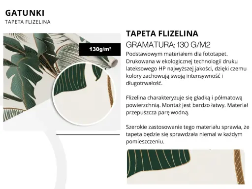 Tapeta flizelinowa z motywem liści monstery, gramatura 130g/m². To jeden z rodzajów tapet, idealny do każdego pomieszczenia.